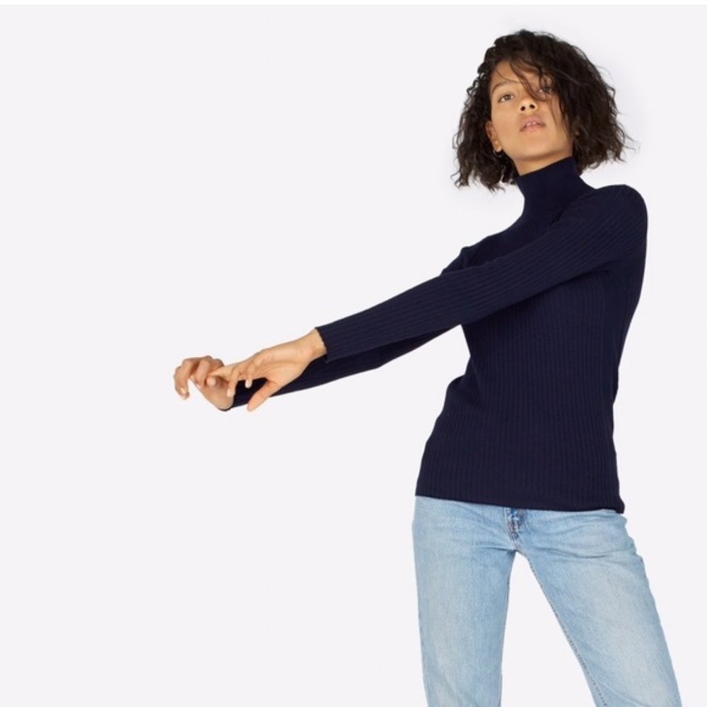 Everlane wool ribbed turtleneck in navy